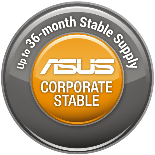 ASUS CORPORTAE STABLE MODEL