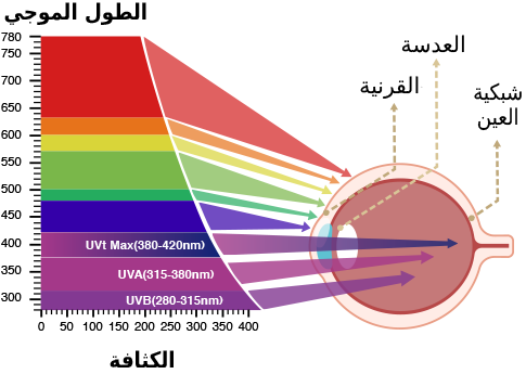 ASUS Ultra-low Blue Light Technology