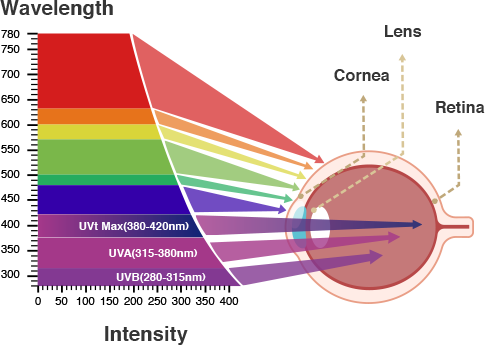 ASUS Ultra-low Blue Light Technology