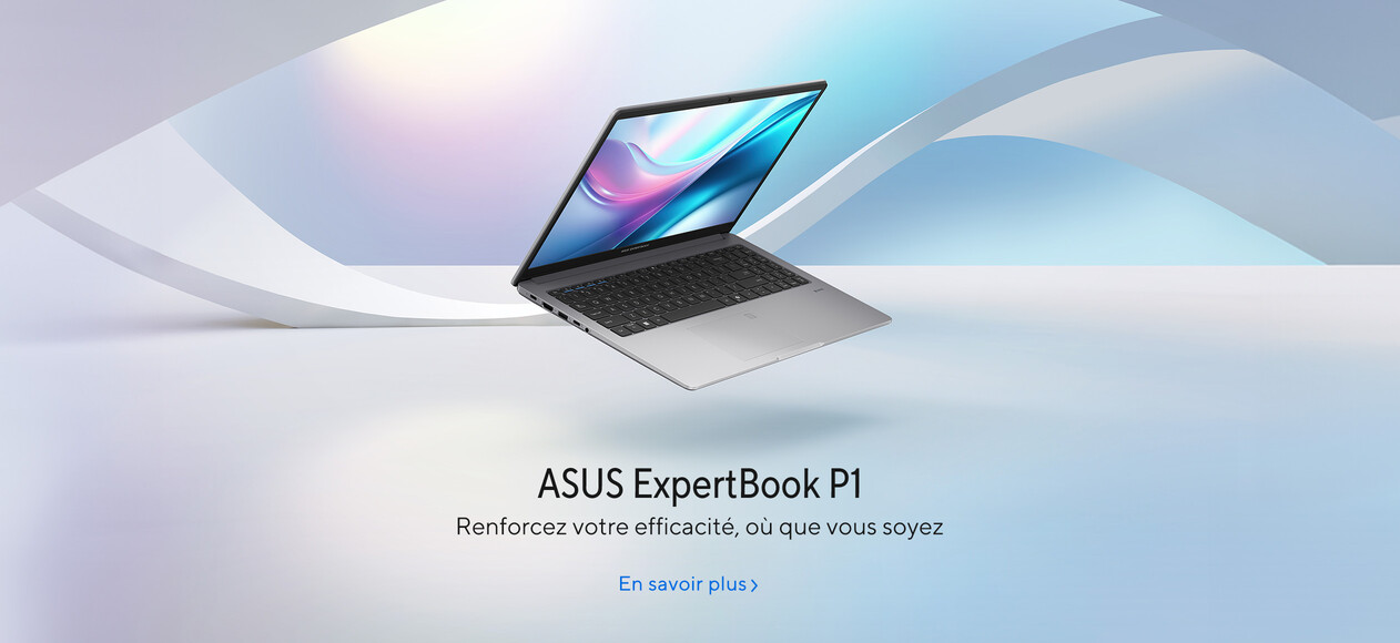 ASUS ExpertBook P1