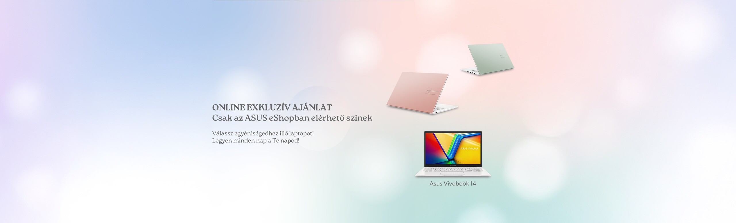 Asus Vivobook 14 (X1404) Female Color