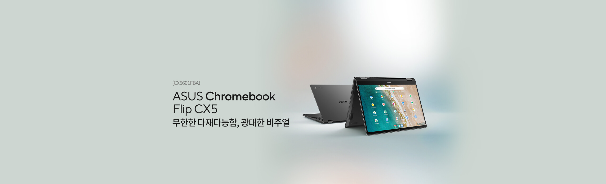 ASUS Chromebook Flip CX5 (CX5601)