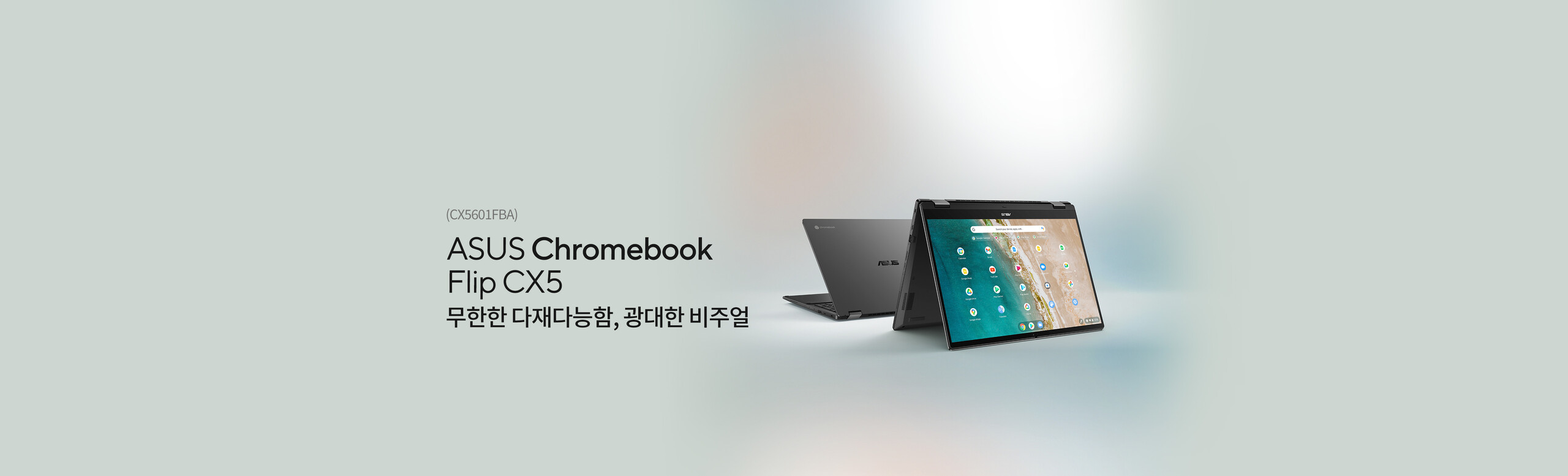 ASUS Chromebook Flip CX5