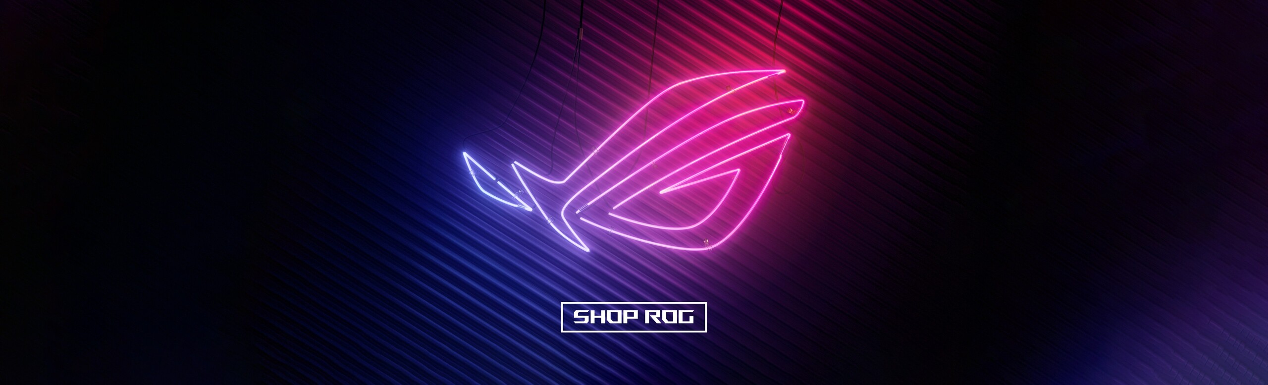 ROG banner