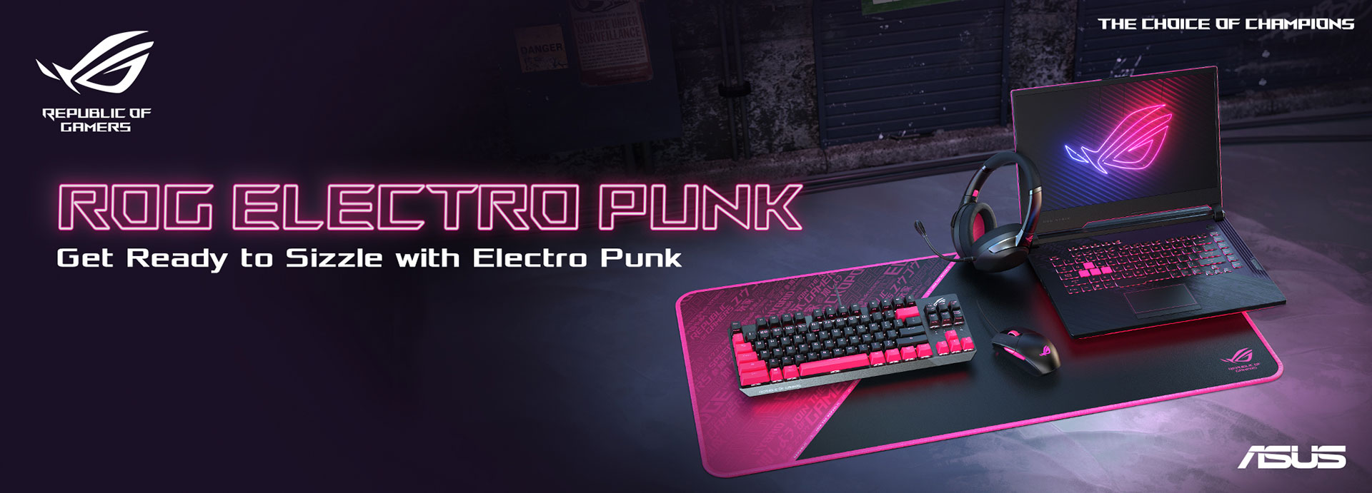 ROG Electro Punk