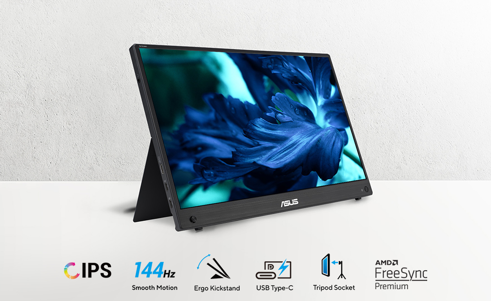 ASUS ZenScreen MB16AHG