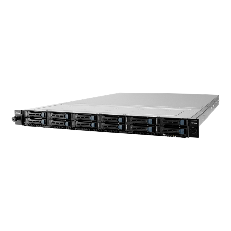 RS700-E9-RS12 server, front view 