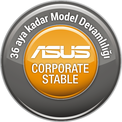 ASUS CORPORTAE STABLE MODEL